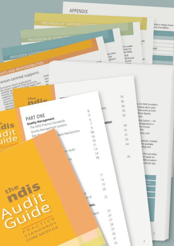 ndis audit guide sections